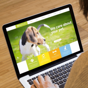 Business Website