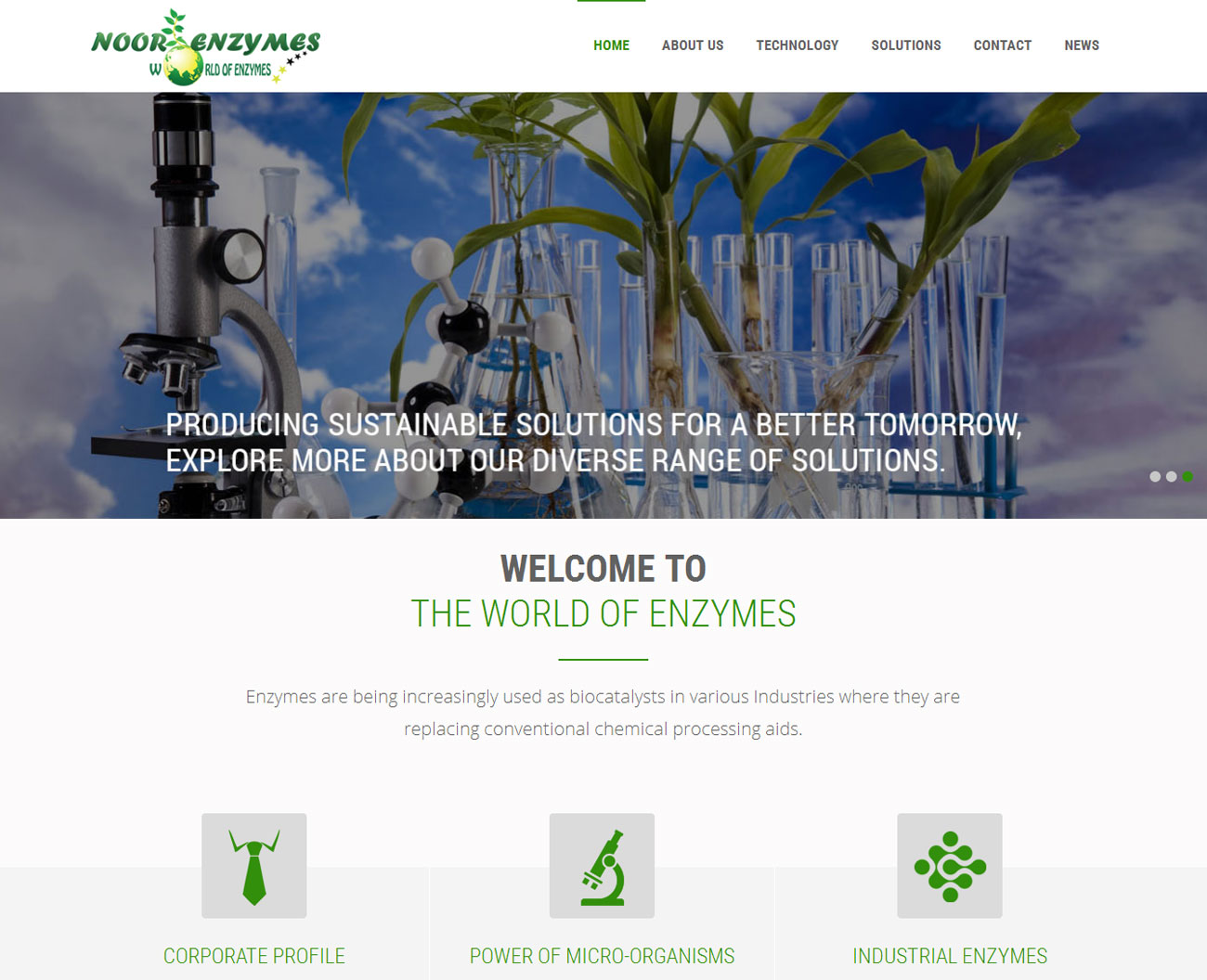 Noor Enzymes Pvt. Ltd.