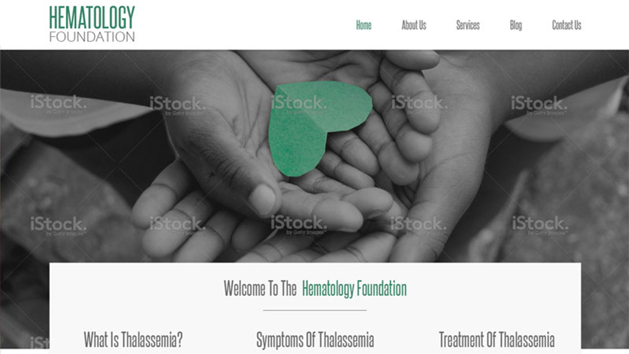 Haematology Foundation